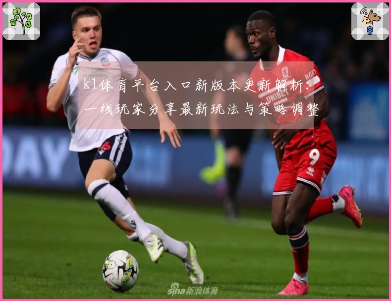 k1体育平台入口新版本更新解析：一线玩家分享最新玩法与策略调整