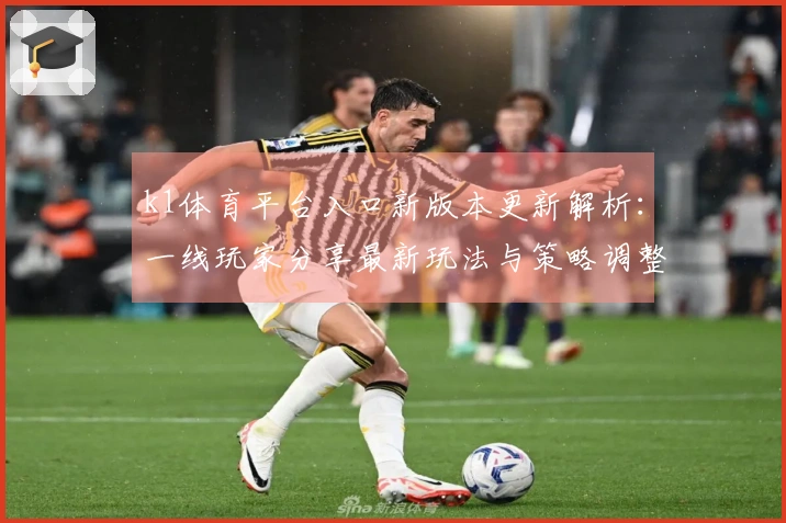 k1体育平台入口新版本更新解析:一线玩家分享最新玩法与策略调整